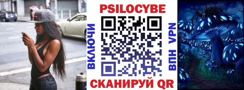 Купить где  Новосокольники  Галлюциногенные грибы Psilocybe 
